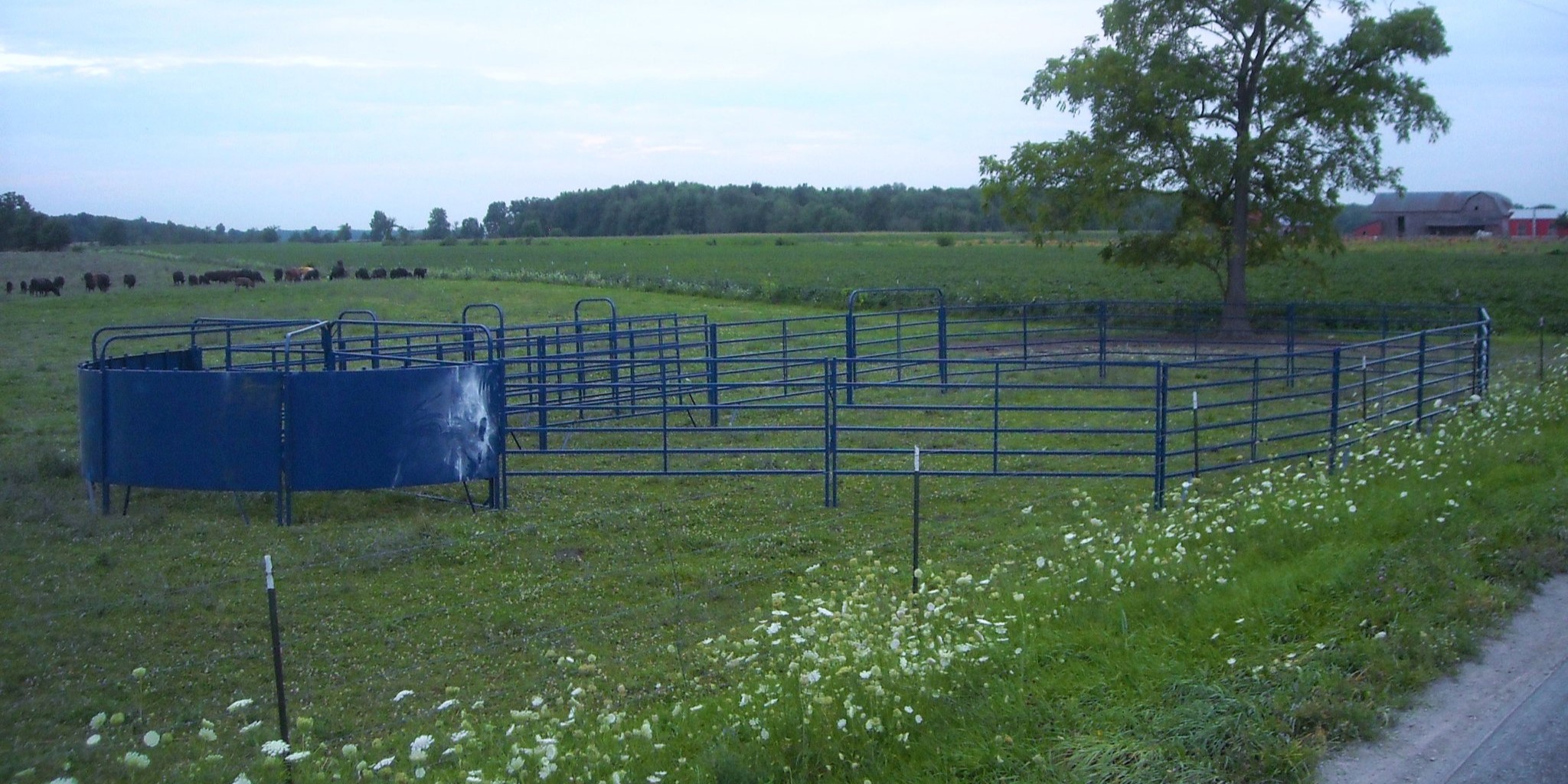 Agriculture Project 7